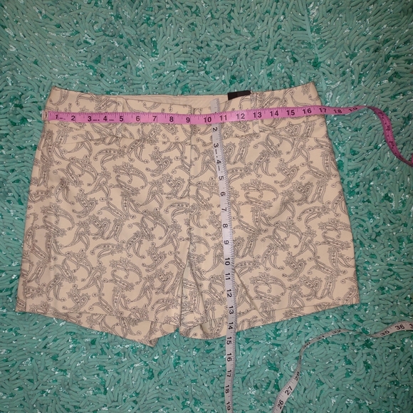 🎀 NWT The Limited shorts - Picture 5 of 5